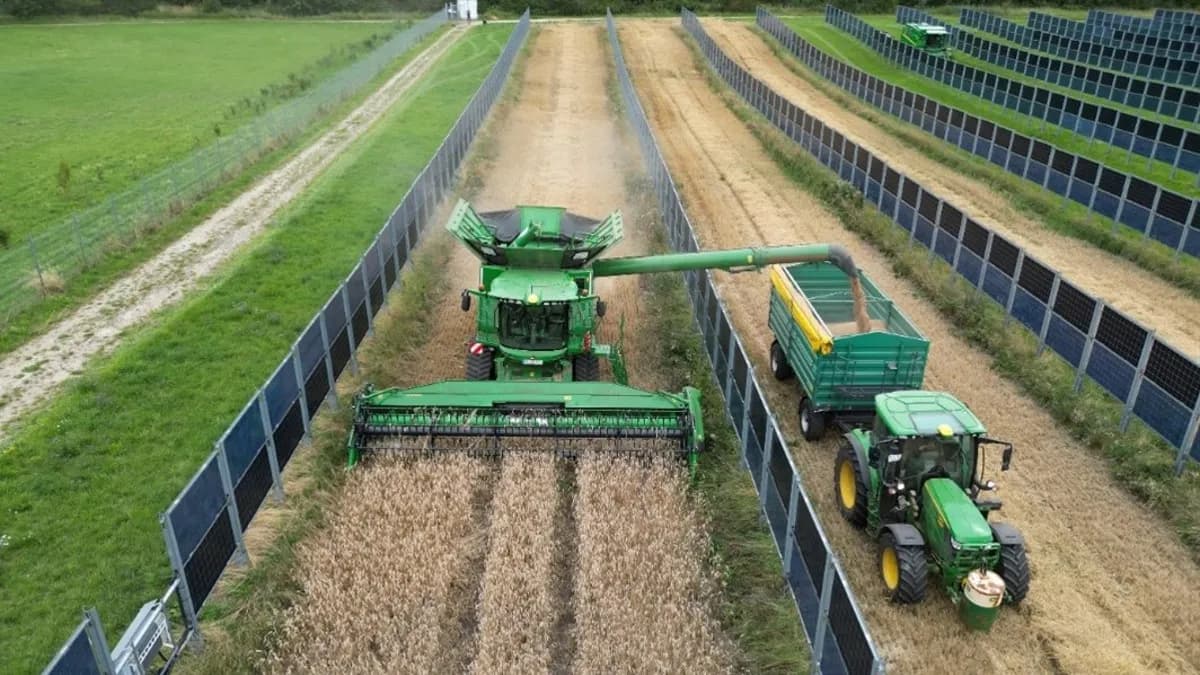 Cover Image for Ist Solarenergie eine gute Wahl für Landwirte?